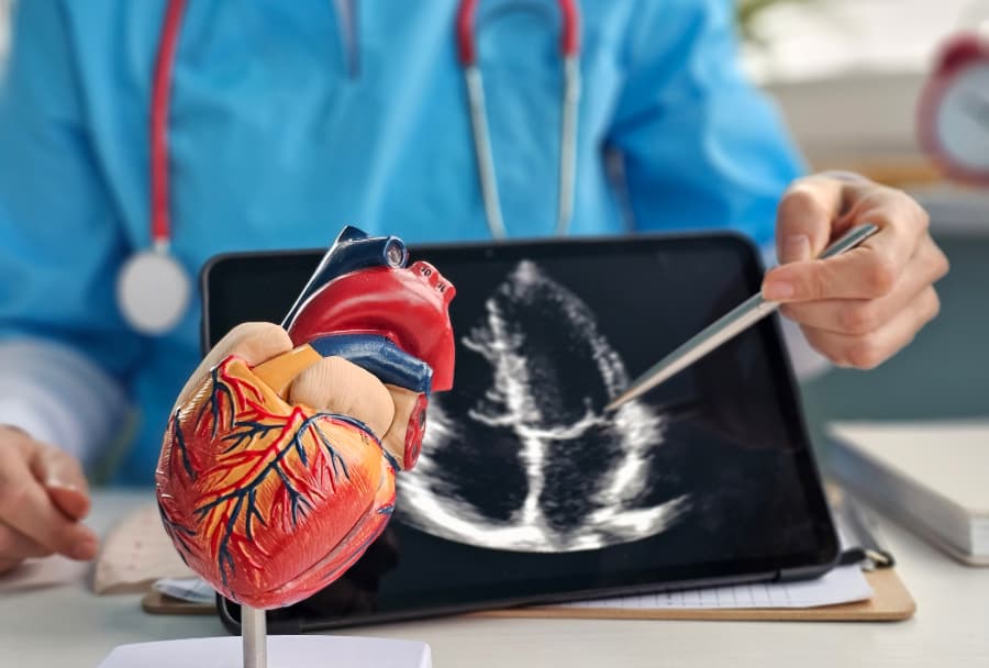 Doctor pointing at heart scan on tablet with heart model in front
